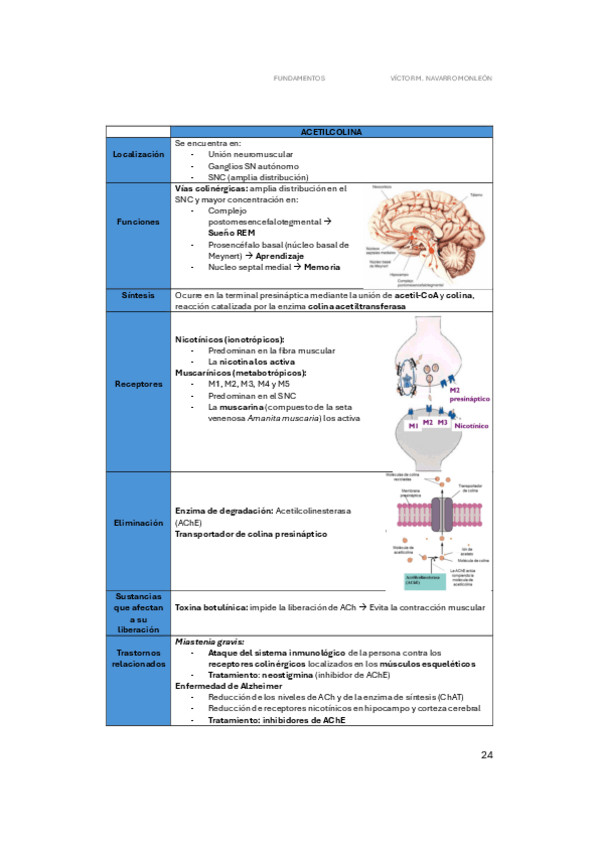 Miniatura del documento Tablas-neurotransmisores-FUNDAMENTOS.pdf