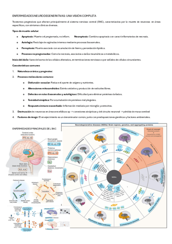 Miniatura del documento NEURODEGENERATIVAS.pdf