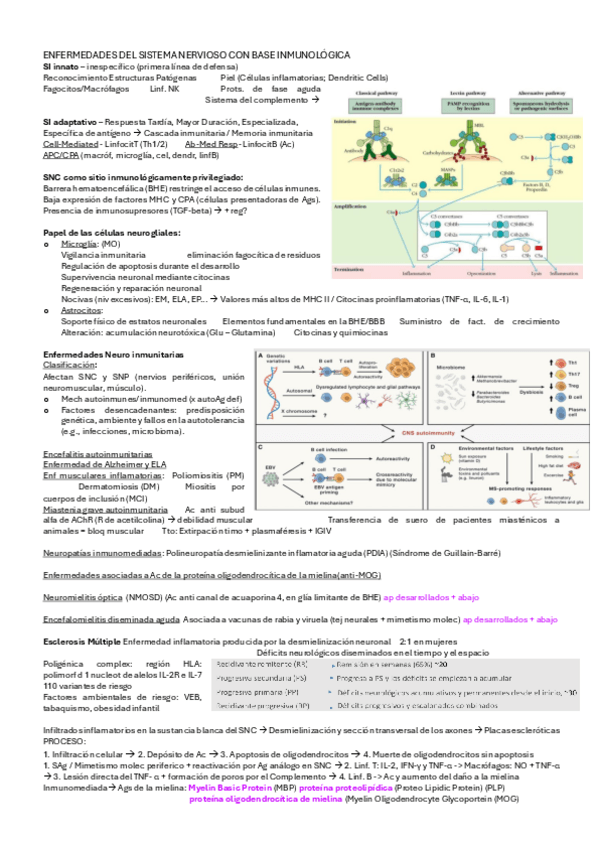 Miniatura del documento ENF-CON-BASE-INMUNOLOGICA - DESMIELINIZANTES.pdf
