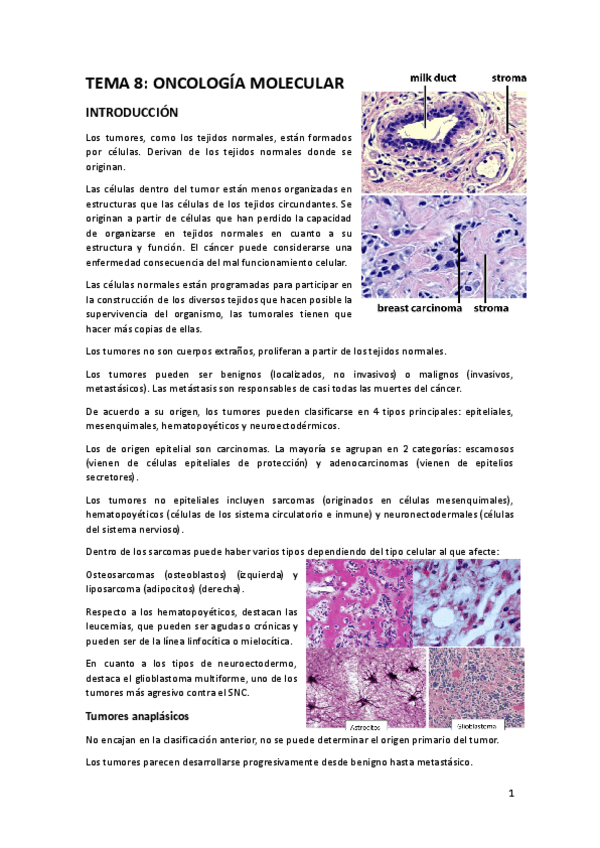 Miniatura del documento TEMA-8-9.docx.pdf