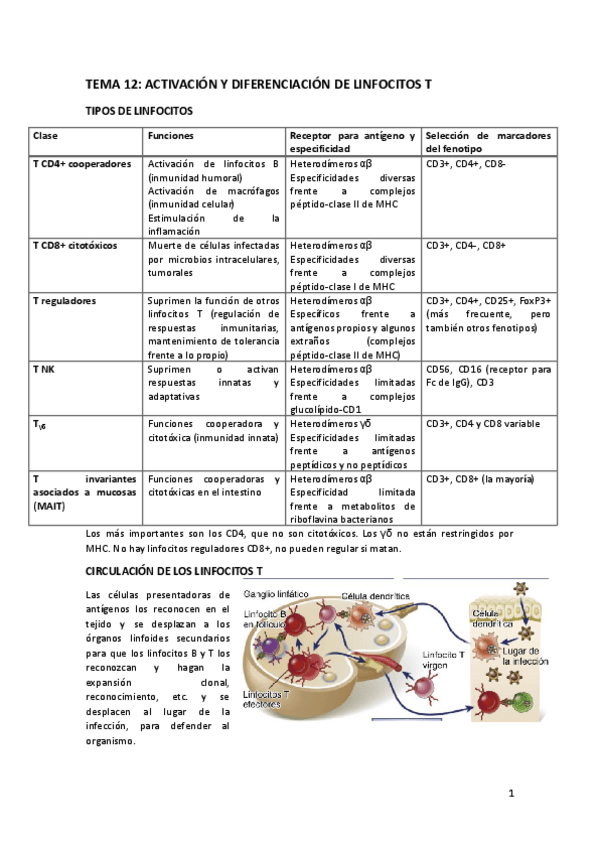Miniatura del documento TEMA-12.docx.pdf