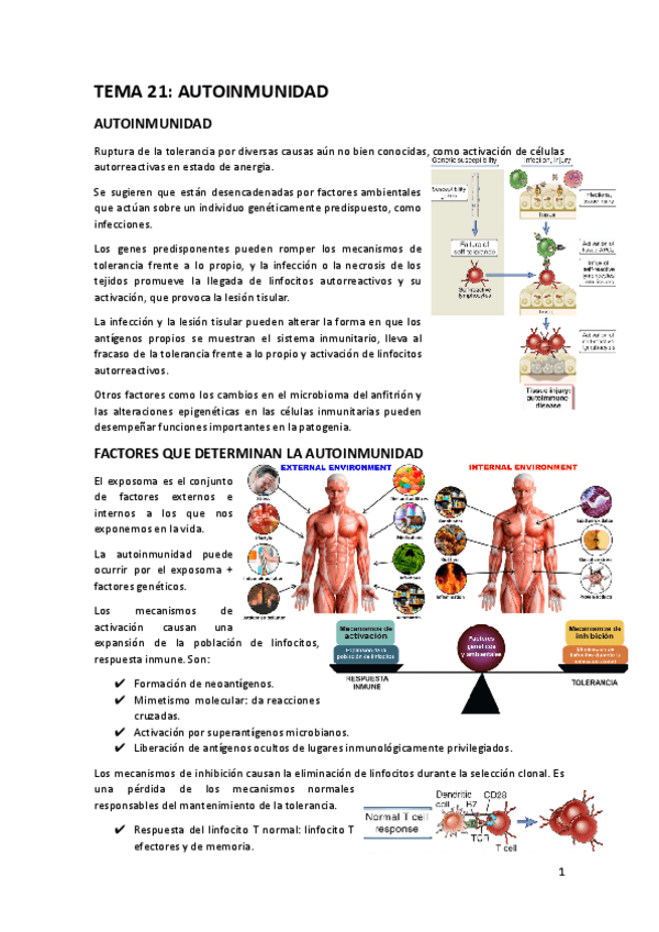 Miniatura del documento TEMA-18.docx.pdf
