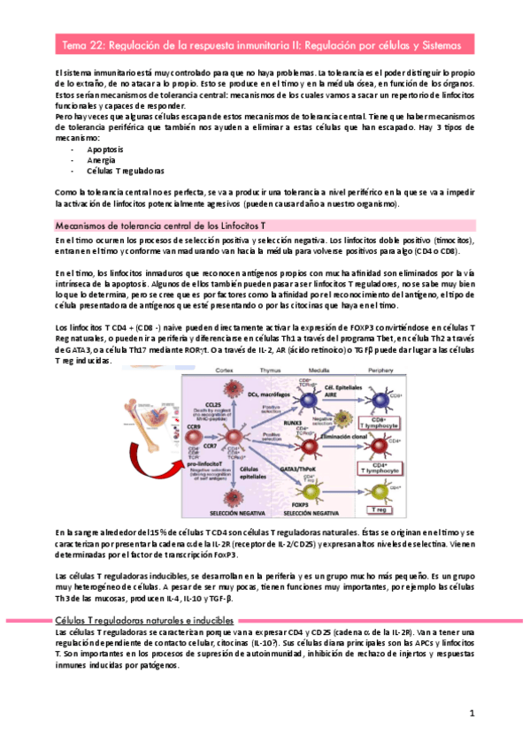 Miniatura del documento Tema-22.pdf