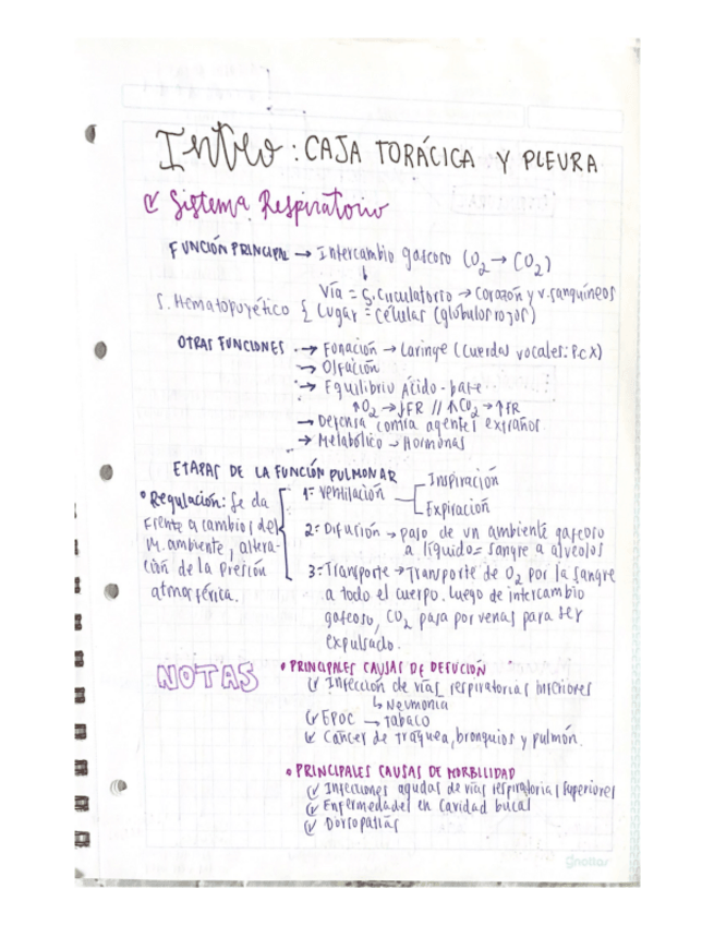 Miniatura del documento RESPIRATORY-SYSTEM-RESUME.pdf