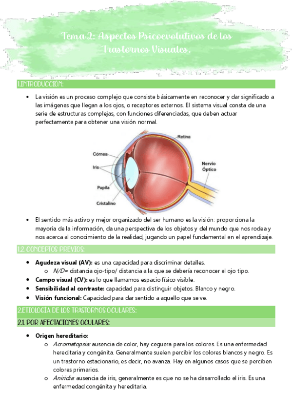 Miniatura del documento T2-Aspectos-Psicoevolutivos-de-los-Trastornos-Visuales.pdf