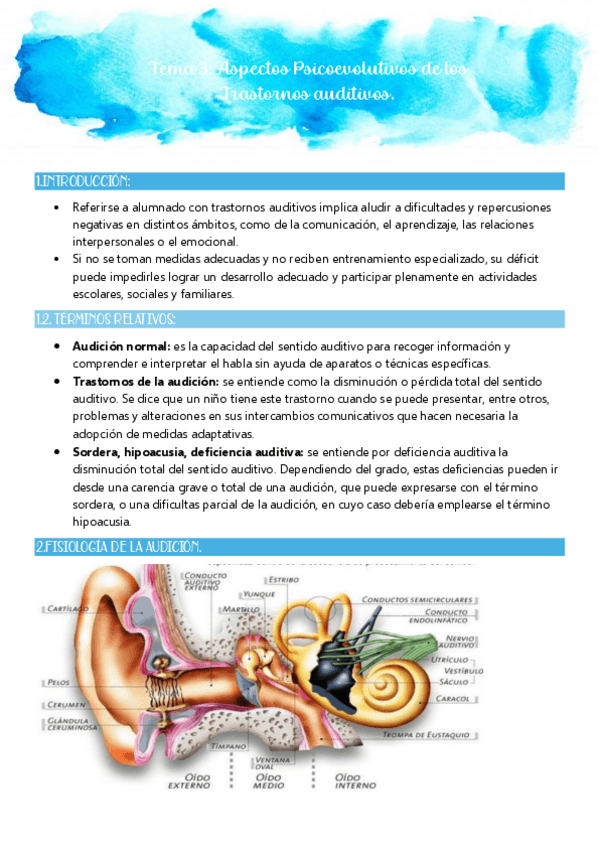 Miniatura del documento T3-Aspectos-Psicoevolutivos-de-los-Trastornos-Auditivos.pdf