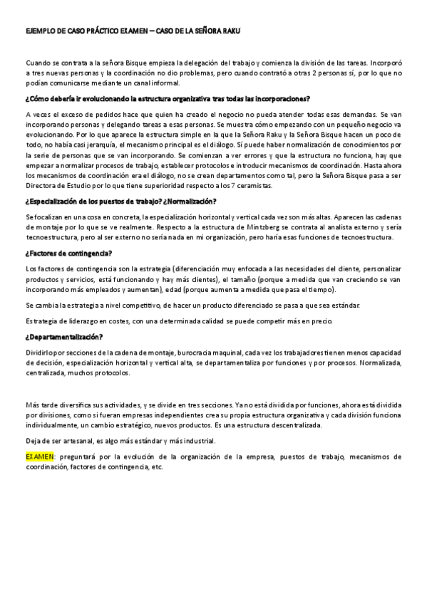 Miniatura del documento EJEMPLO-DE-CASO-PRACTICO-EXAMEN-LA-SENORA-RAKU.pdf