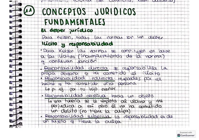 Miniatura del documento Tema-11-Teoria-del-Derecho.pdf
