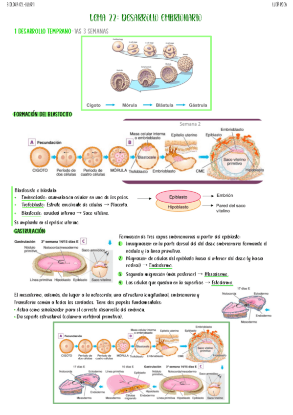 Miniatura del documento tema-22-biologia-celular-I.pdf