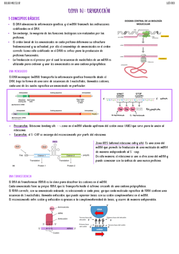 Miniatura del documento tema-10-biologia-molecular.pdf