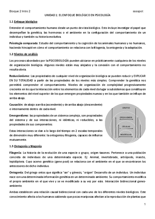 Miniatura del documento APUNTES-INTRO-2-BLOQUE-2.pdf