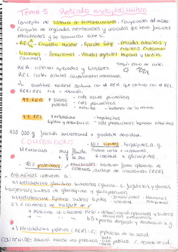 Miniatura del documento T5-RETICULO-CON-NOTAS-PARA-EL-EXAMEN.pdf