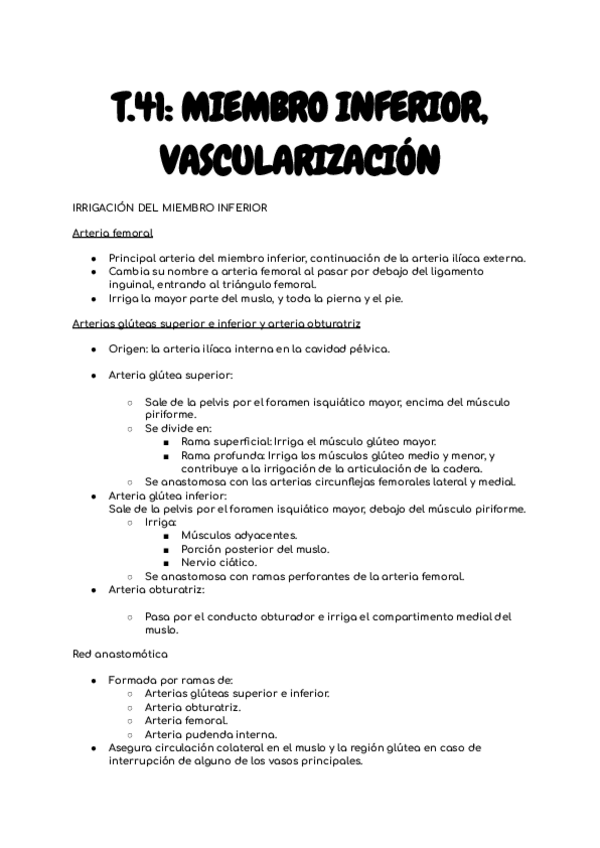 Miniatura del documento T41-VASCULARIZACION-M.I..pdf