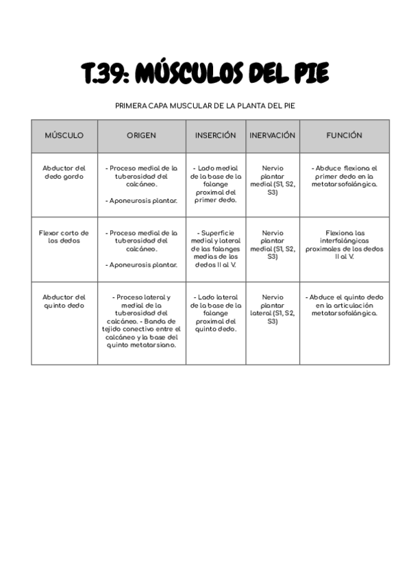 Miniatura del documento T.39-MUSC.PIE.pdf
