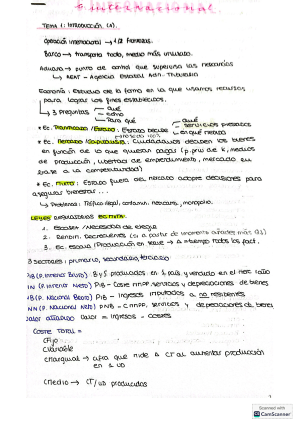 Miniatura del documento Algunos-apuntes-C.Internacional.pdf