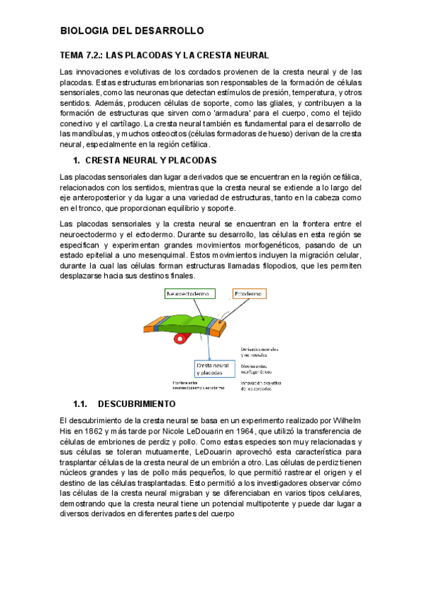 Miniatura del documento tema-7.2.-desarrollo.pdf