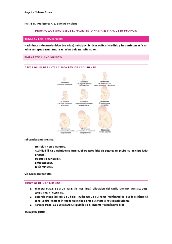 Miniatura del documento PROCESOS-Y-CONTEXTOS-DEL-DESARROLLO-ANA-BERNARDO.pdf