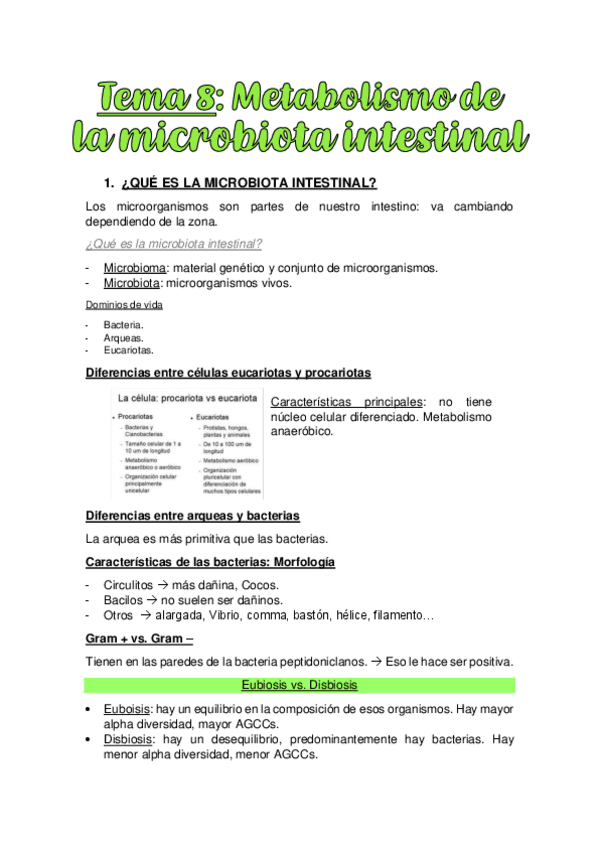 Miniatura del documento TEMA-8.-METABOLISMO-DE-LA-MICROBIOTA-INTESTINAL.pdf