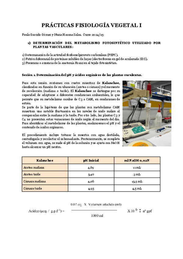 Miniatura del documento FV-I-INFORME-PRACTICAS.pdf