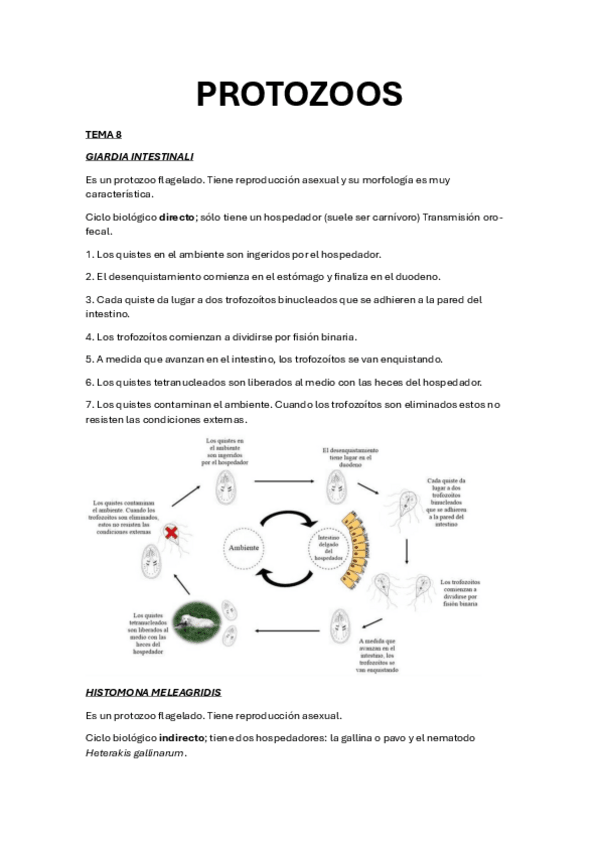 Miniatura del documento CICLOS-COMPLETOS-PARASITOLOGIA.pdf