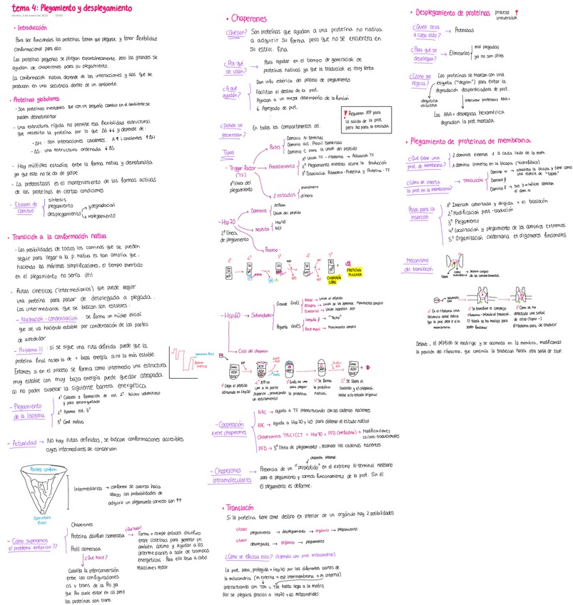 Miniatura del documento Resumen-tema-4.pdf
