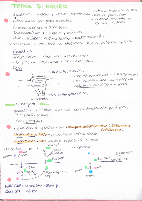 Miniatura del documento NUCLEO-T3-SUPER-COMPLETO.pdf