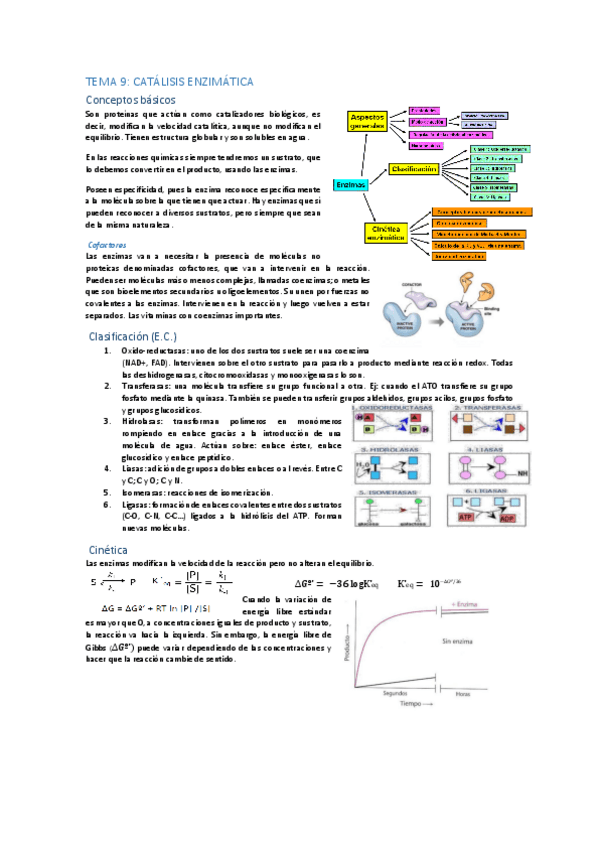 Miniatura del documento SEMANA 5-9.pdf