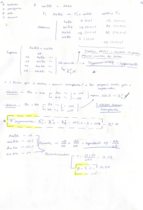 Miniatura del documento Ejercicios-T4-resueltos-a-mano.pdf