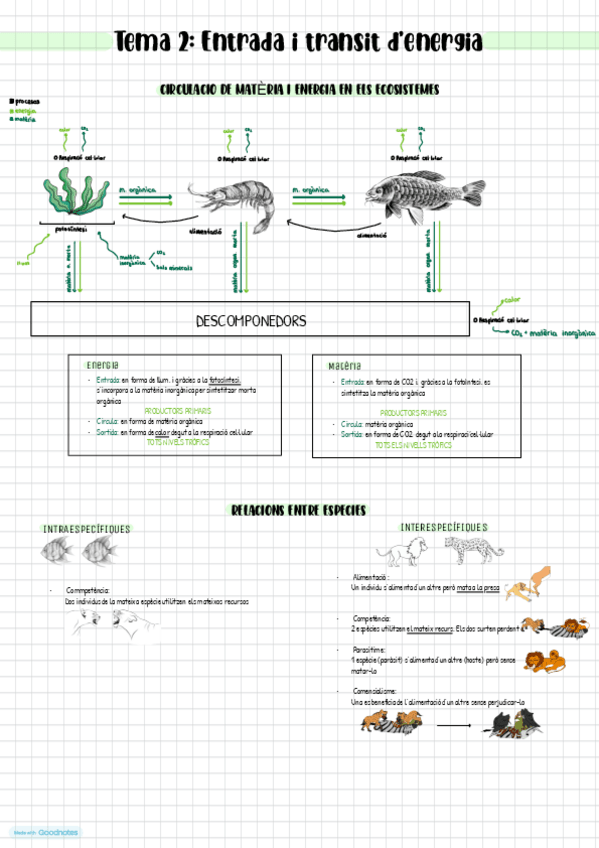 Miniatura del documento Entrada-i-transit-denergia.pdf