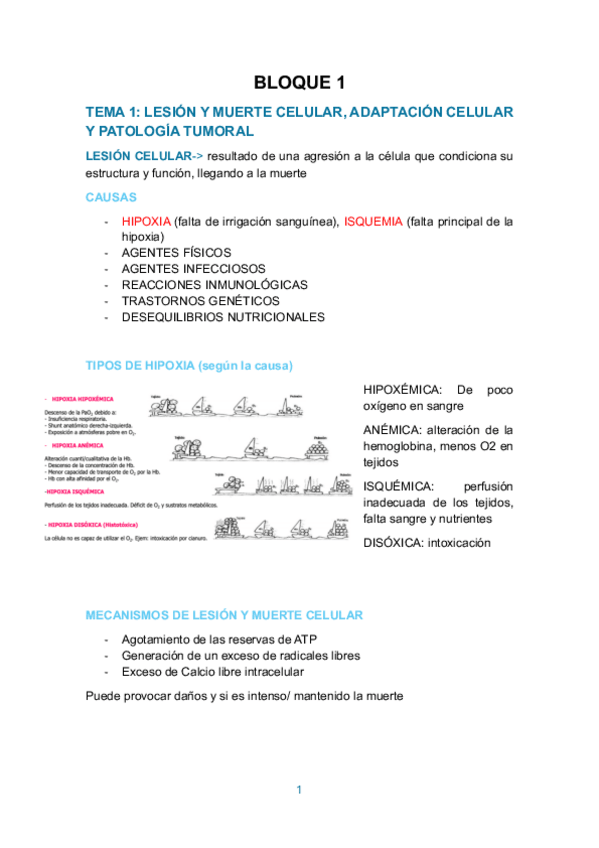 Miniatura del documento BLOQUE-1-INTRO-EC.pdf