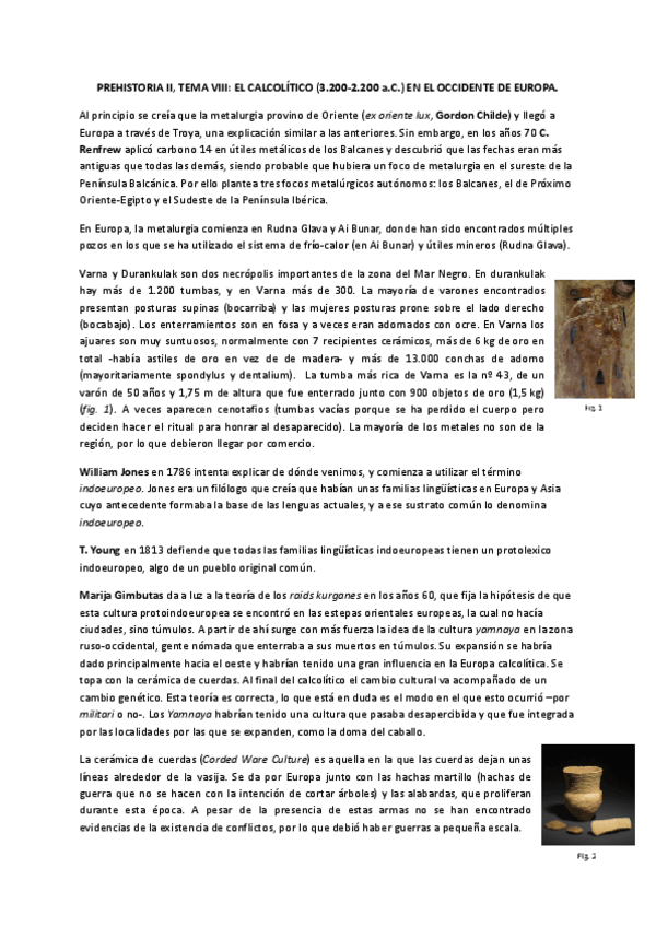 Miniatura del documento PREHISTORIA-II-TEMA-VIII.pdf