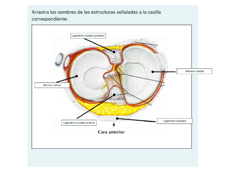 Miniatura del documento Test-1.pdf