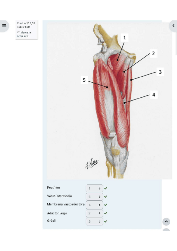 Miniatura del documento Test-3.pdf