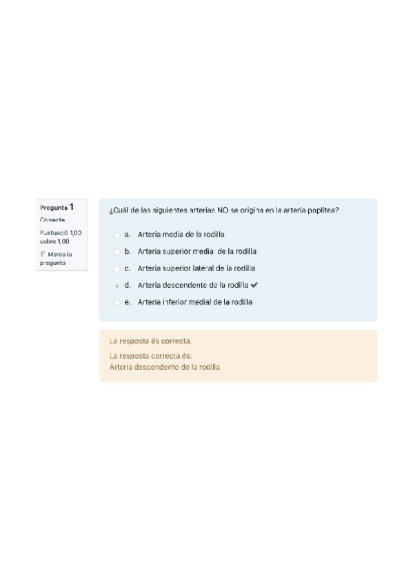 Miniatura del documento Test-4.pdf