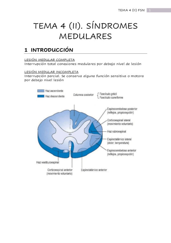 Miniatura del documento TEMA-4-FSN-II.pdf