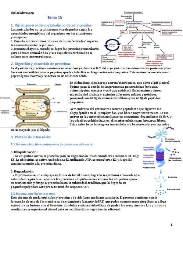 Miniatura del documento Tema-15.pdf