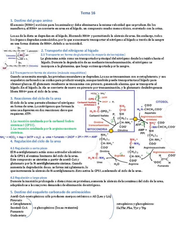 Miniatura del documento Tema-16.pdf