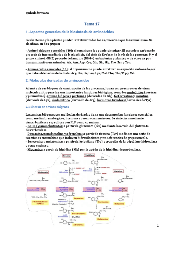 Miniatura del documento Tema-17.pdf