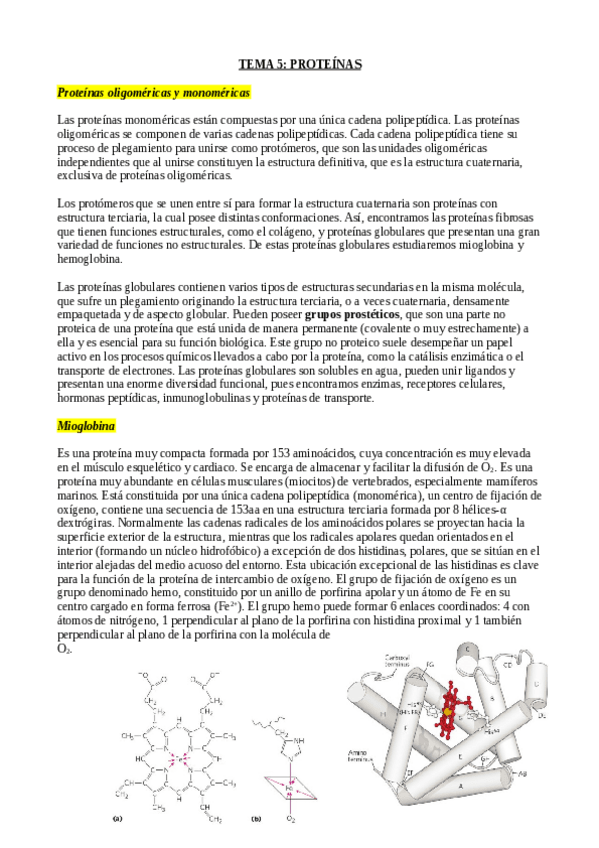 Miniatura del documento TEMA-5-PROTEINAS.pdf