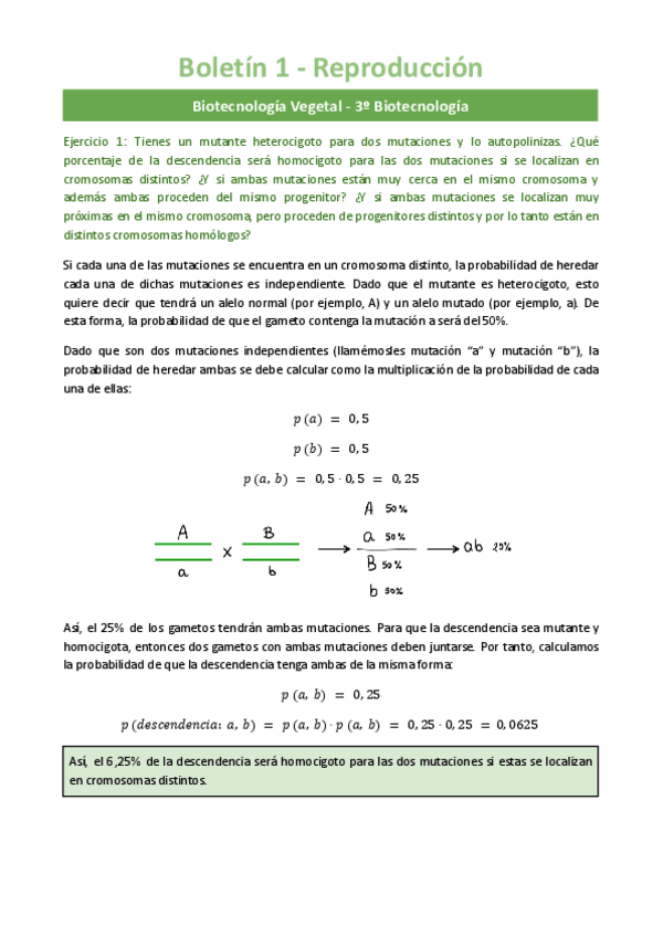 Miniatura del documento Boletines-Seminarios.pdf