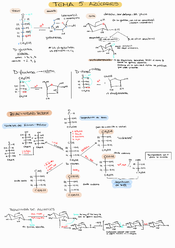 Miniatura del documento NOTA-10.-esquemas-y-resumenes-completos.pdf