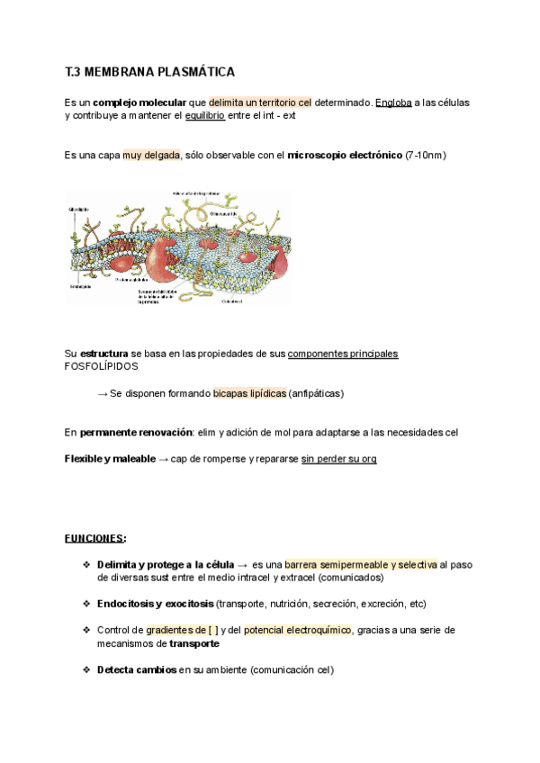 Miniatura del documento T.3-BIOLOGIA.pdf