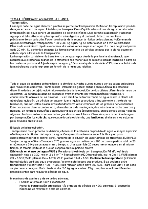 Miniatura del documento T4-FISIOLOGIA-VEGETAL.pdf