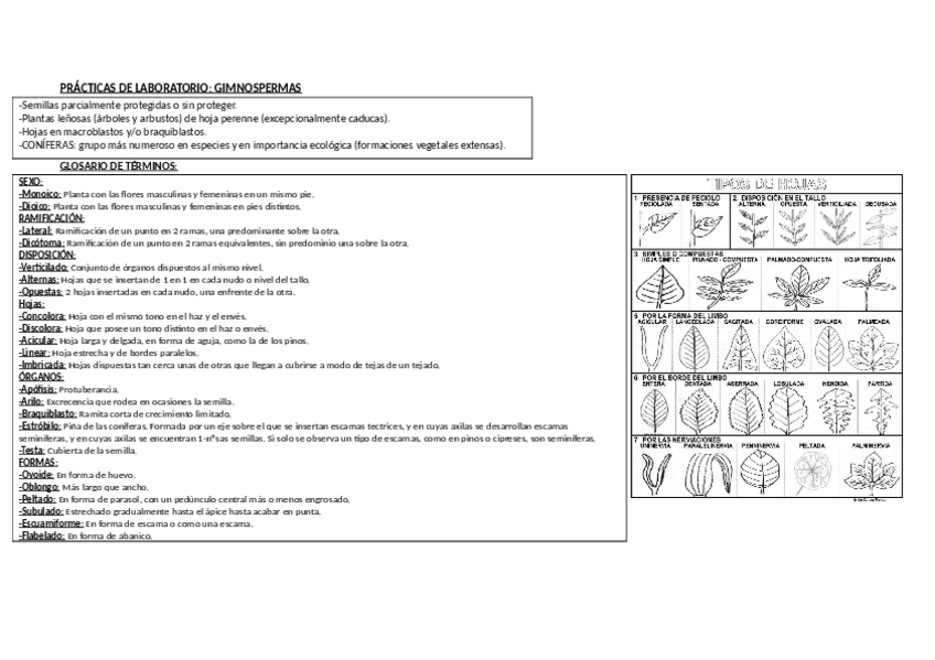 Miniatura del documento Laboratorio_bot.pdf