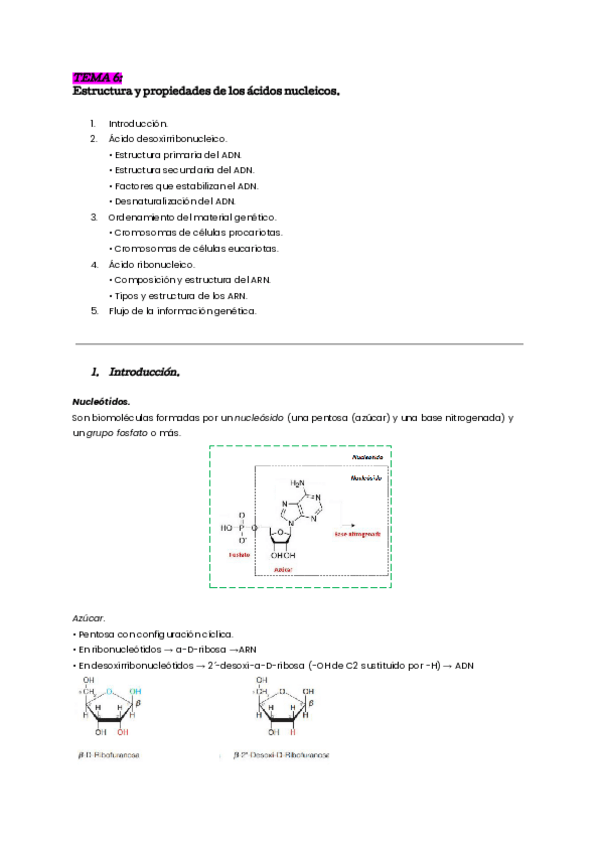 Miniatura del documento tema-6-bioq.pdf