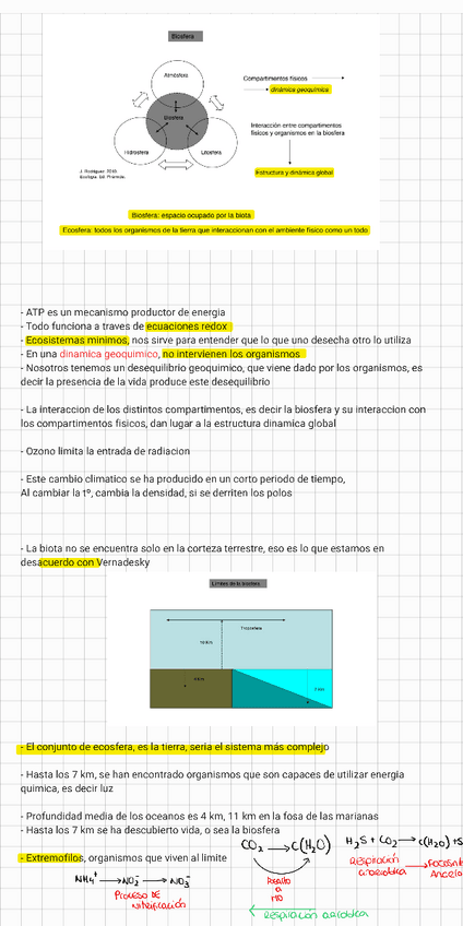 Miniatura del documento Tema-2-Flujo-de-energia.pdf