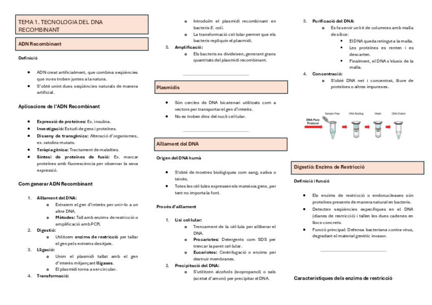 Miniatura del documento Resum-T1.-Tecnologia-del-ADN-recombuinant.pdf