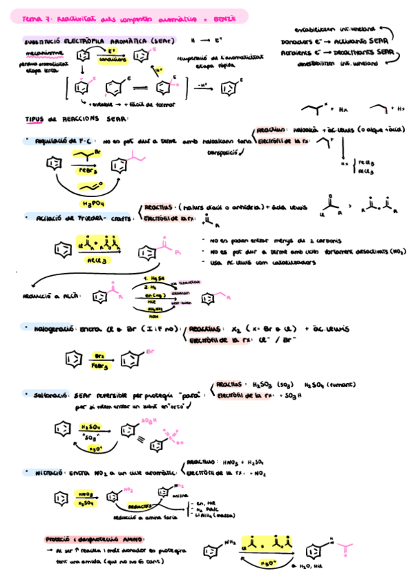 Miniatura del documento RESUM-FINAL-TEMA-7-FINS-TEMA-14-COMPLET.pdf