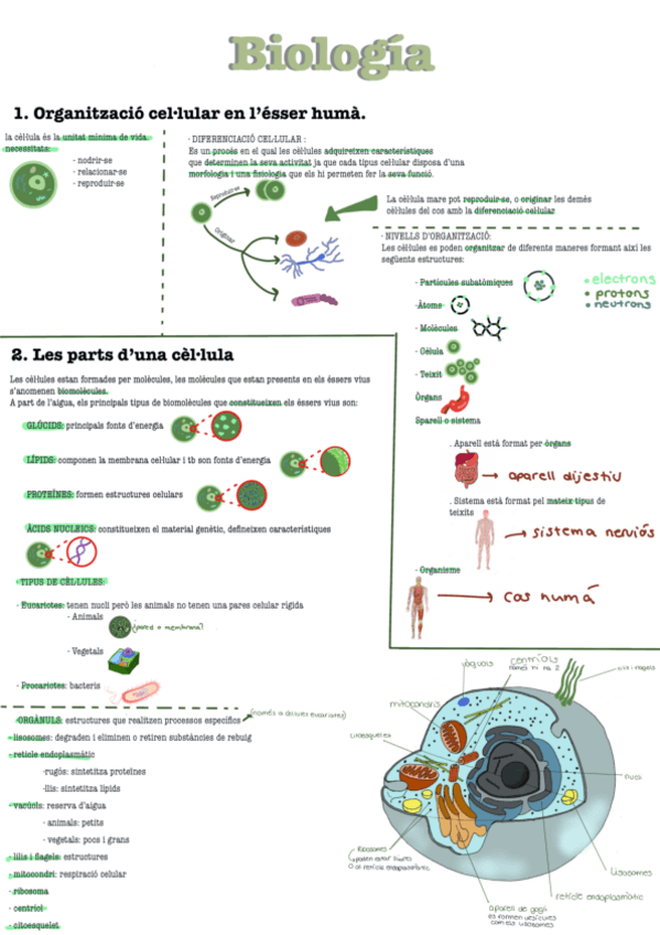 Miniatura del documento Tema-1-bio-eso.pdf