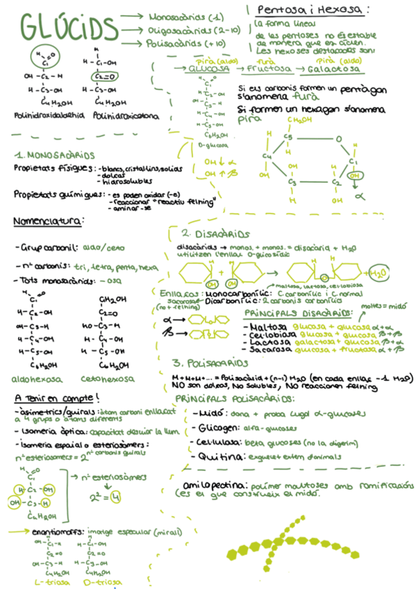 Miniatura del documento Glucids-tema-1-bat.pdf